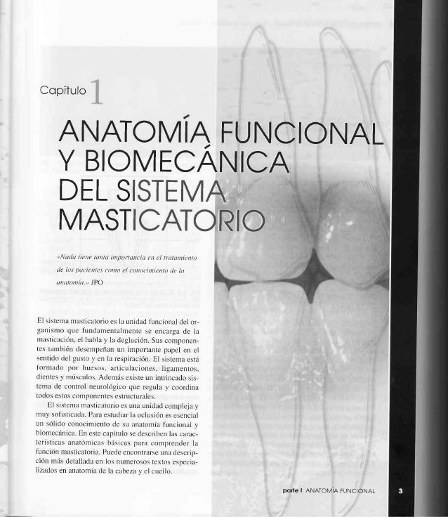 libro de okeson